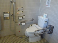 Medium_とっとり花回廊 (47)s